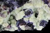 Purple-Blue Cubic Fluorite Crystals - Inner Mongolia #146949-2